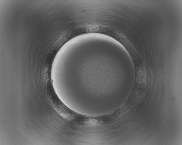 X0000078840598200612111557