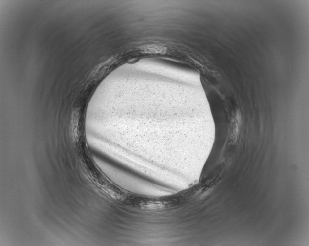 X0000078840600200612111557