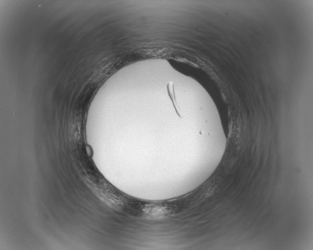 X0000078840602200612111557