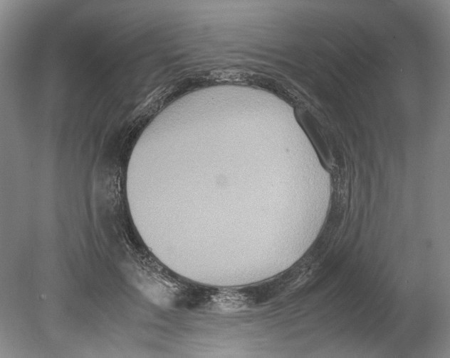 X0000078840603200612111557