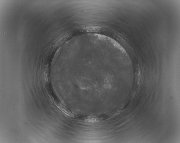 X0000078840604200612111557