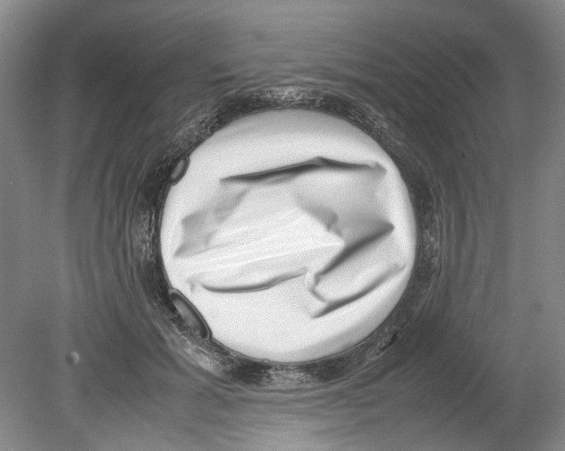 X0000078840605200612111557