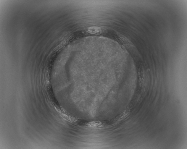 X0000078840606200612111557