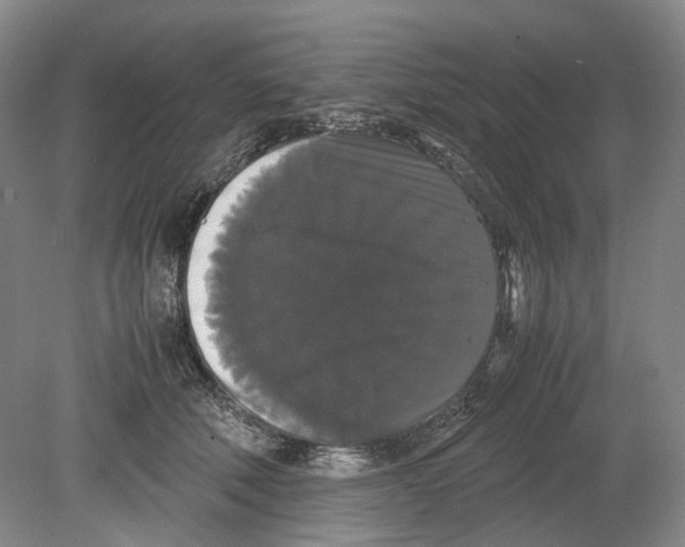 X0000078840610200612111557