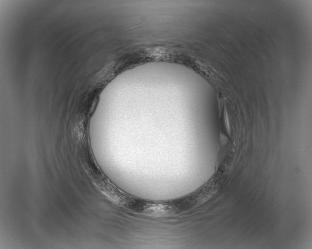 X0000078840611200612111557