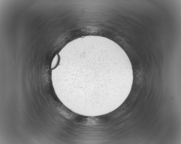 X0000078840612200612111557