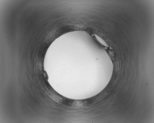 X0000078840613200612111557