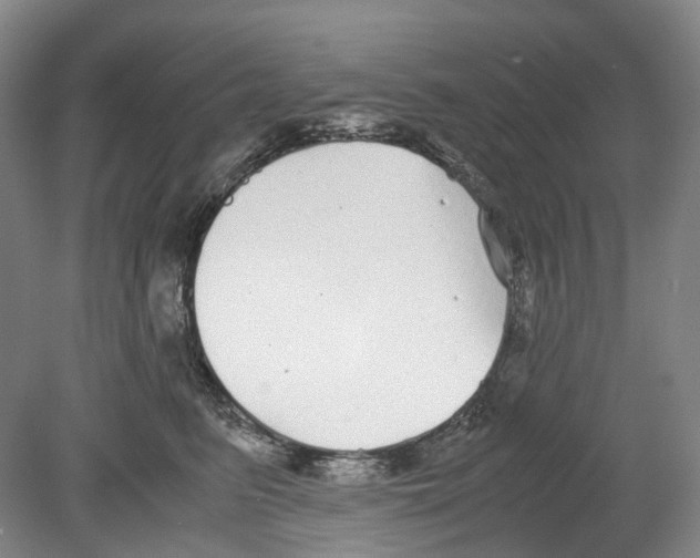 X0000078840615200612111557