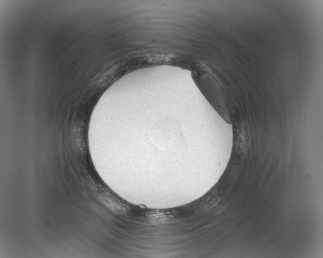 X0000078840616200612111557