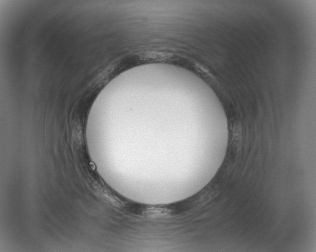 X0000078840617200612111557