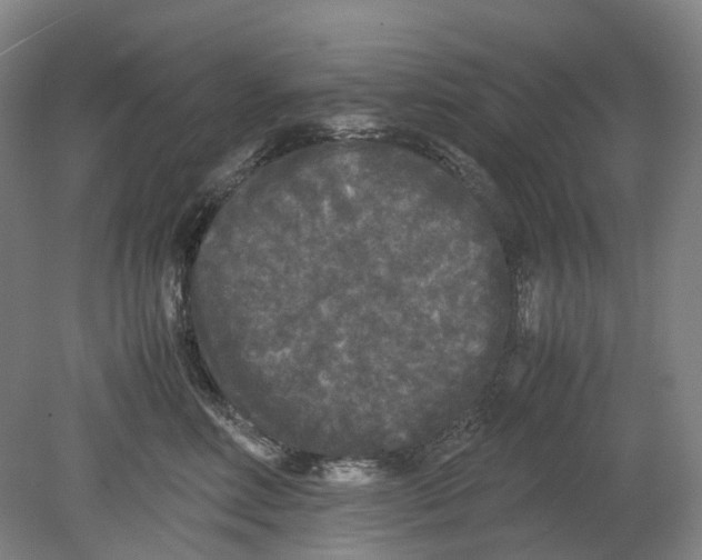 X0000078840618200612111557