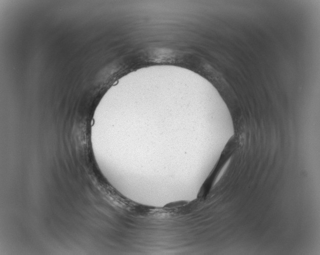 X0000078840620200612111557