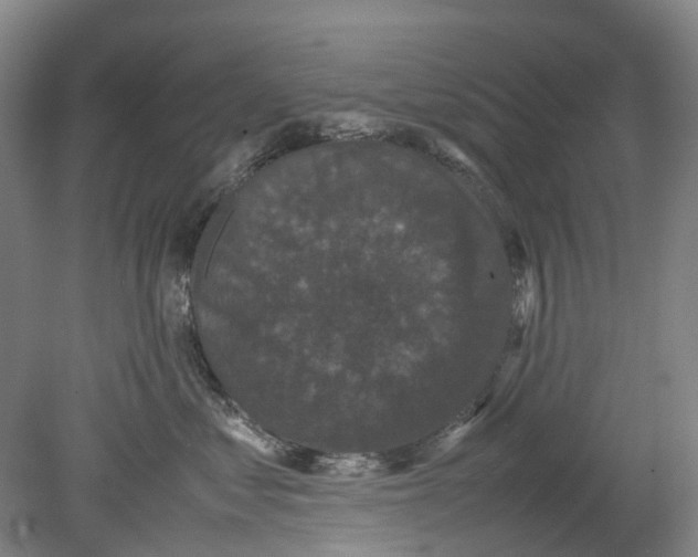 X0000078840621200612111557