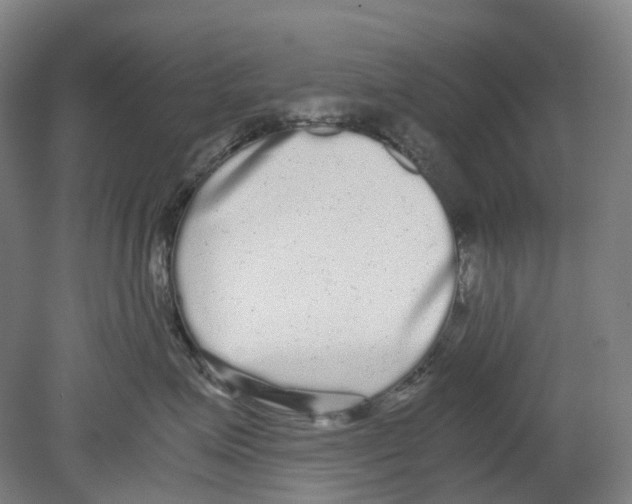 X0000078840623200612111557