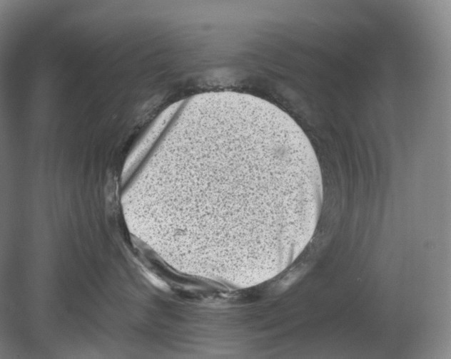 X0000078840624200612111557