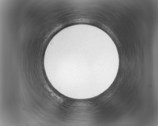 X0000078840625200612111556