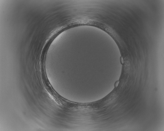 X0000078840626200612111556