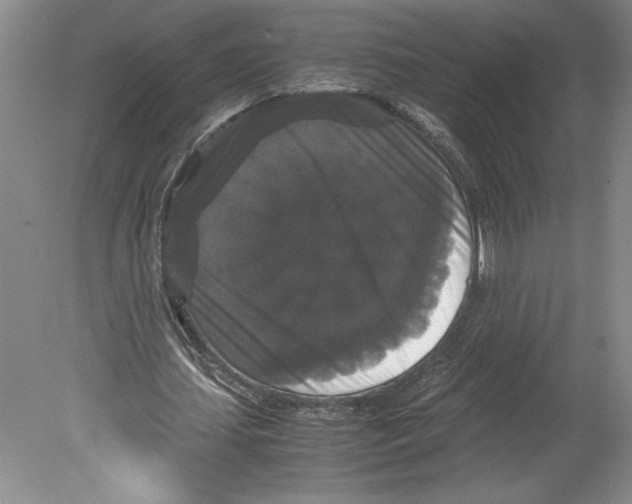 X0000078840627200612111556