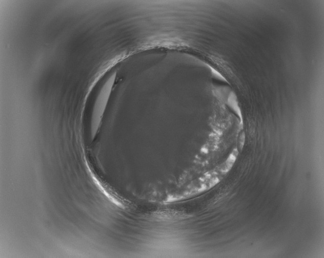 X0000078840630200612111556