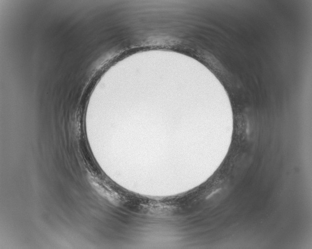 X0000078840632200612111556