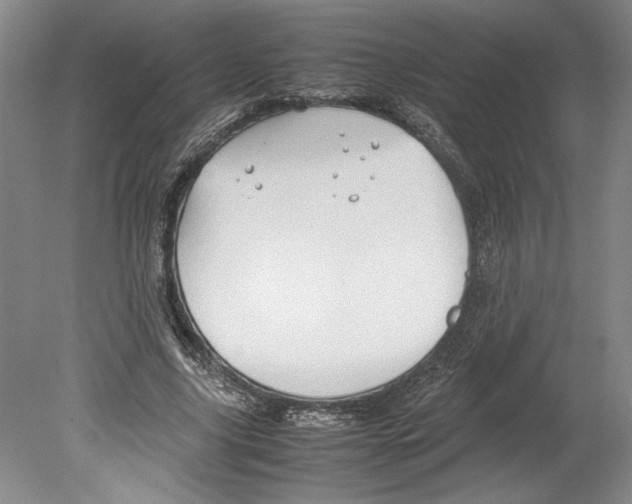 X0000078840635200612111556