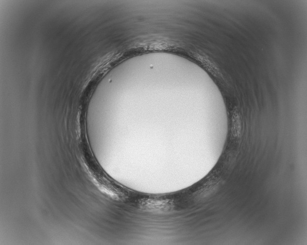 X0000078840638200612111556