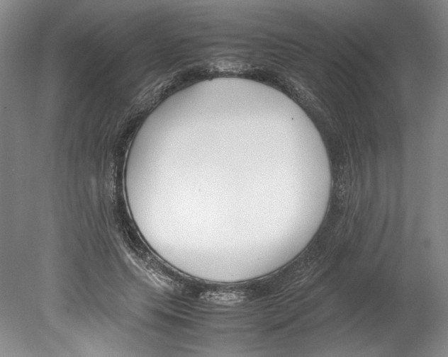 X0000078840639200612111556