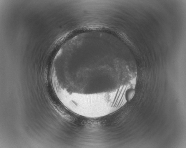 X0000078840640200612111556