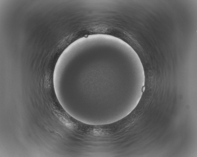 X0000078840641200612111556