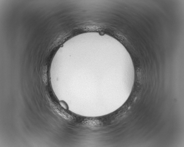 X0000078840642200612111556