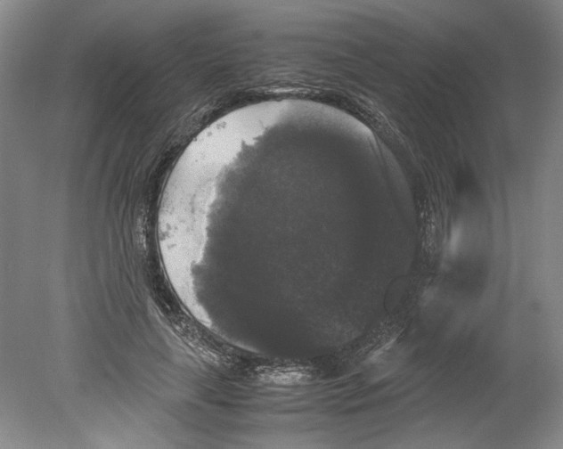 X0000078840643200612111556