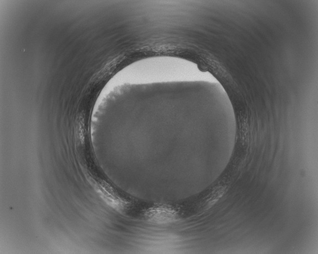 X0000078840644200612111556