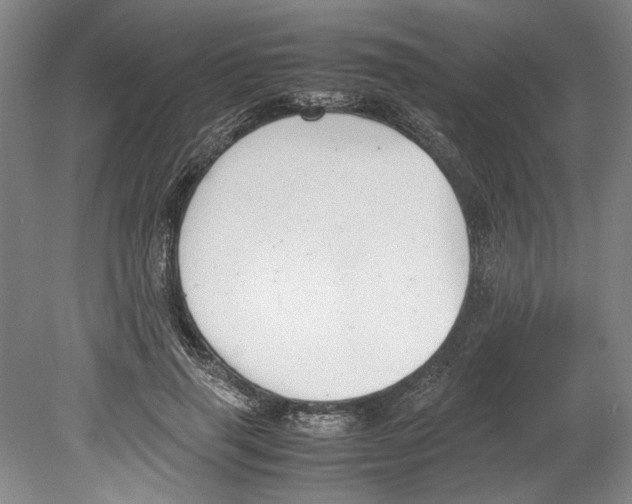 X0000078840645200612111556