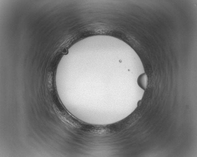 X0000078840646200612111556