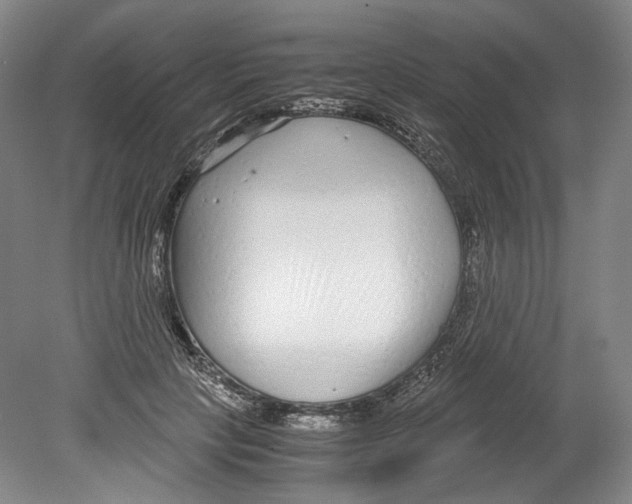 X0000078840649200612111556