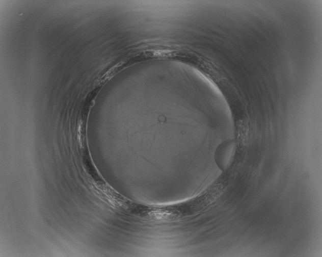 X0000078840650200612111556