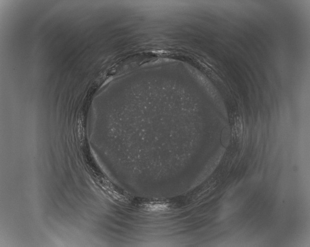 X0000078840651200612111556