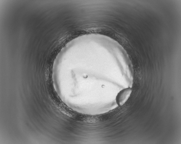 X0000078840652200612111556