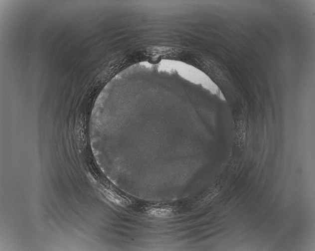 X0000078840653200612111557