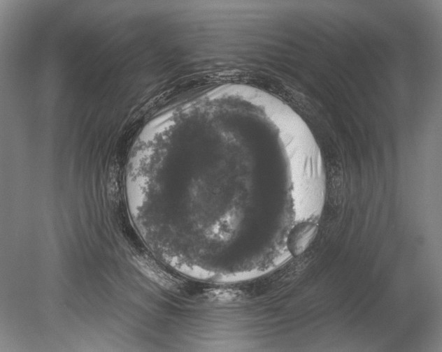 X0000078840654200612111557