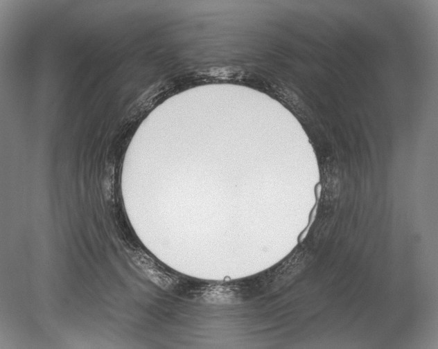 X0000078840656200612111557