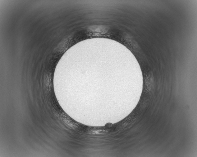 X0000078840657200612111557