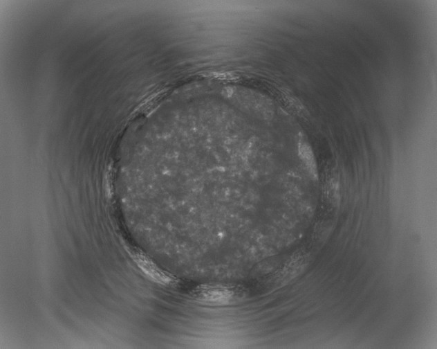 X0000078840658200612111557