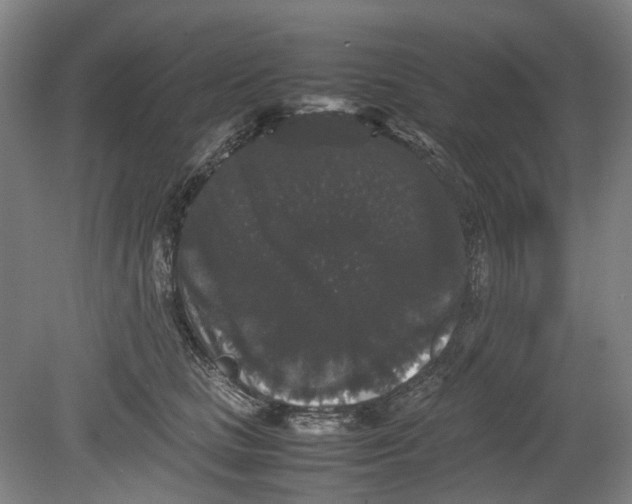 X0000078840661200612111557