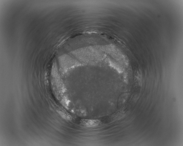 X0000078840663200612111557