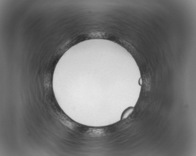 X0000078840665200612111557