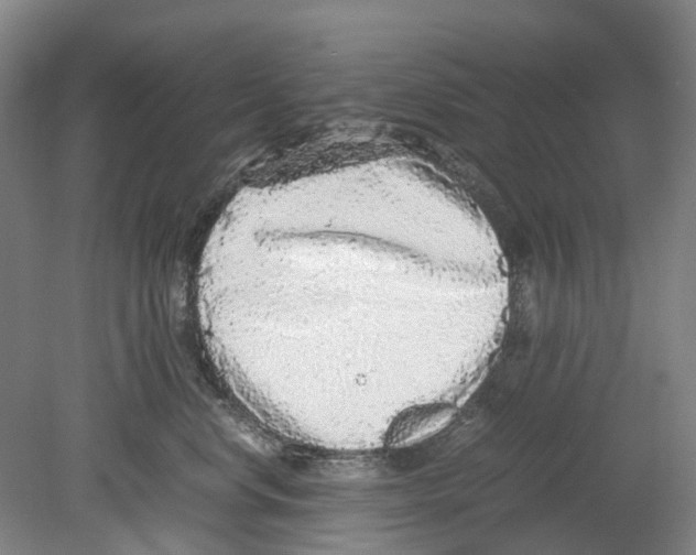 X0000078840668200612111557