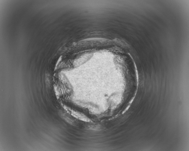 X0000078840669200612111557