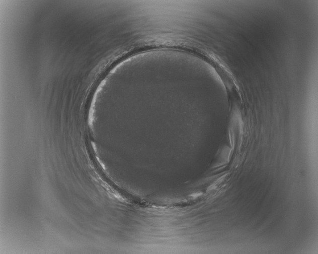 X0000078840673200612111556