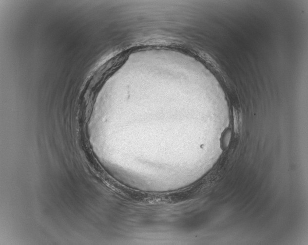 X0000078840675200612111556